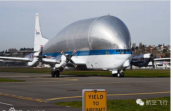 变异变形飞机,变异飞机鹦鹉
