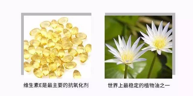 美番福利社|口碑超赞,大家都想回购的超好用口红又来啦!