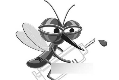 登革热一般出现在几月份,登革热什么时候结束