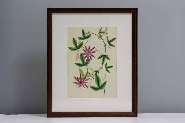 自然好书100本排行榜,自然好书