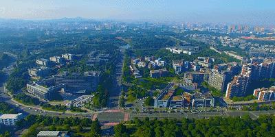 为什么那么多的人都喜欢东莞呢,为什么越来越多的人想回去