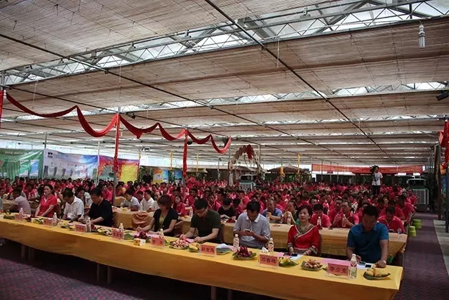 三宁转型向高精尖挺进,三宁芒果