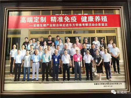 安徽生猪产业联合体“疫苗定制”助推供需转型升级——安徽生猪产业联合体与东方帝维签订疫苗定制战略合作协议