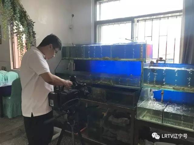 辽宁营口北海风景区,营口北海风景区之旅感受与收获