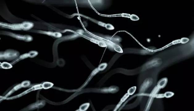 别害羞了！坦白讲，捐精不是你想捐，想捐就能捐