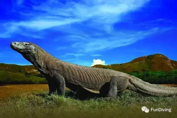 从入门级到朝圣级，船宿该怎么选？