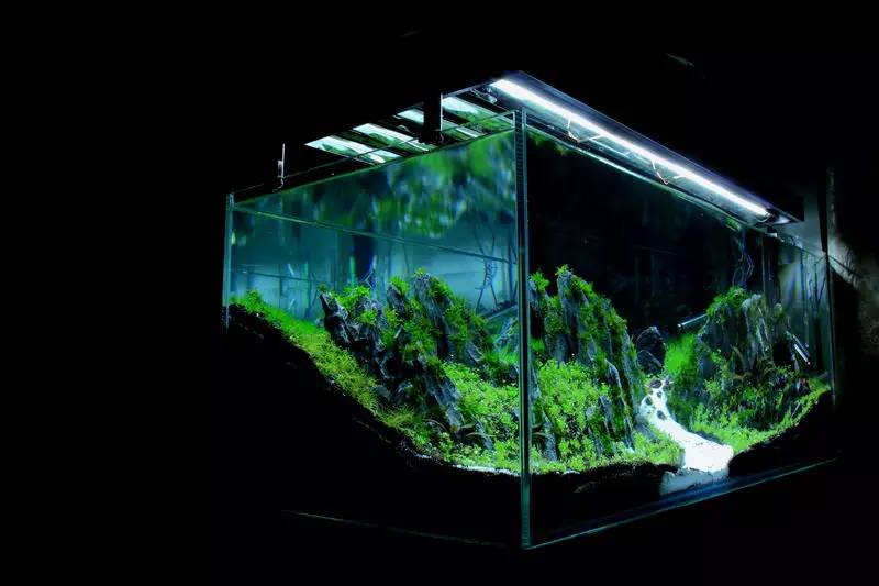 旅游时看到山川河流的感悟,旅游途中看到的景物