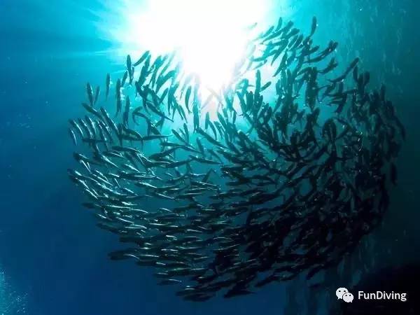 从入门级到朝圣级，船宿该怎么选？