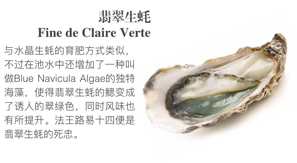 贝隆生蚝,贝隆生蚝和吉拉多生蚝哪种好