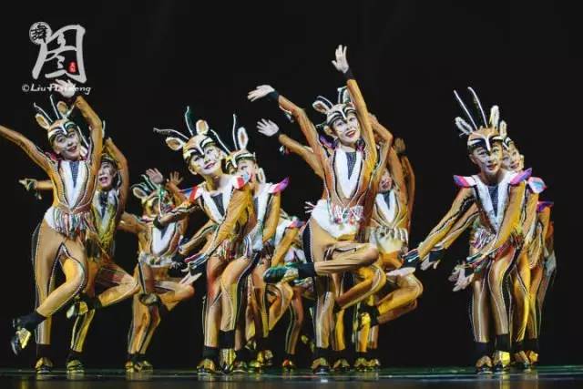 灏忚嵎椋庨噰钘忔棌鐙垶閲戝浣滃搧,灏忚嵎椋庨噰閲戝鑸炶箞闈掓捣