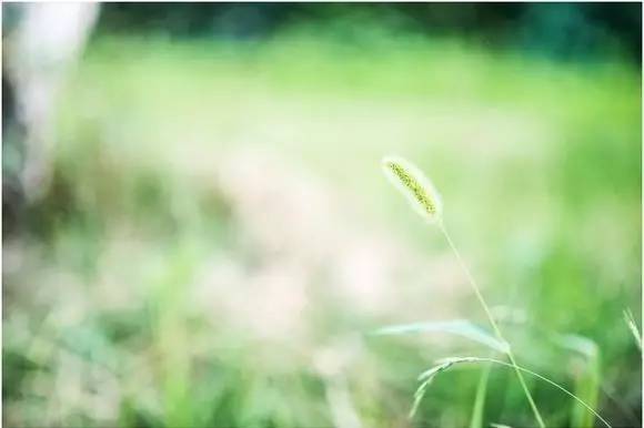 三江学院，小三本的奋斗传奇