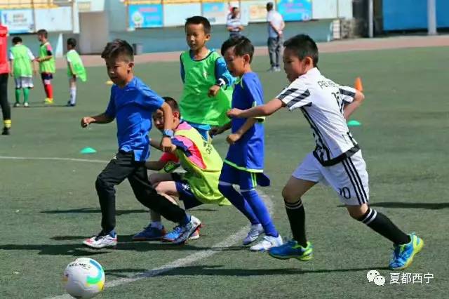 全国贝贝杯足球赛,足球小将全国大赛全集