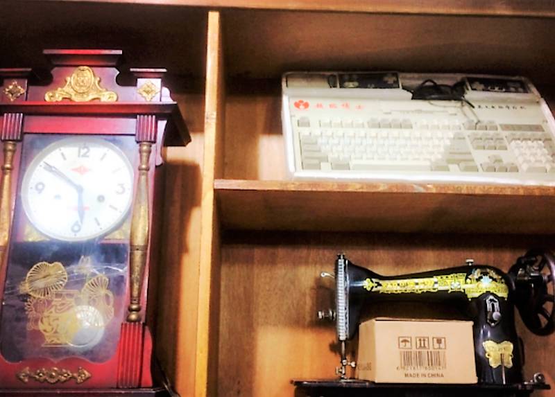 秦皇岛适合带狗去的地方,北戴河的民宿带狗的可以去吗