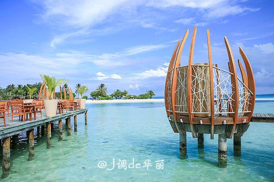 能吃遍全国美食的大学,吃遍全世界美食能去吗