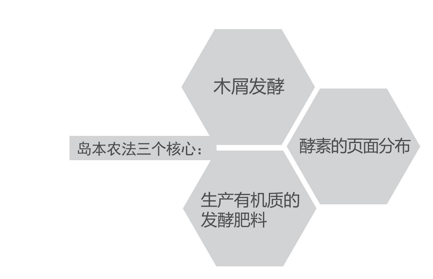 印象日本:“岛国”农业为什么能做得风生水起?