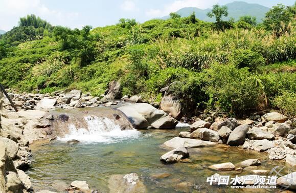 从颗粒无收到年赚百万，一位“农民赛车手”到石斑鱼“老大”的养殖之路