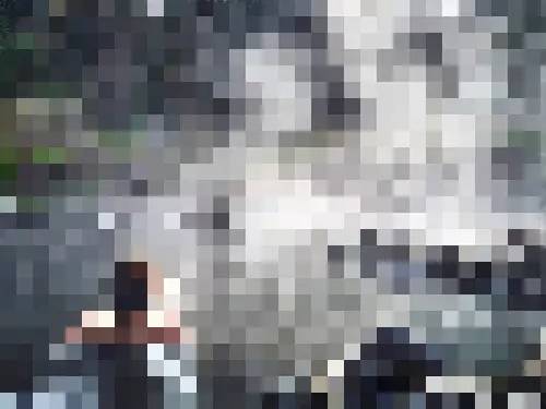 子桐品|处女星奇幻漂流记(下):日本街头寻宝记