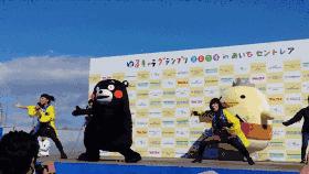 常州奥体中心全览,常州各公共体育场馆将免费开放