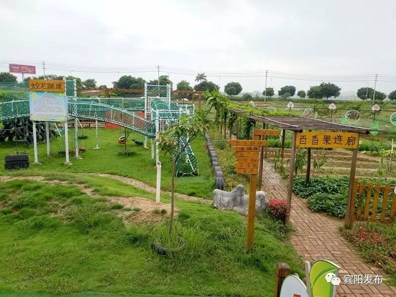 宾州镇顾明幼儿园,顾明幼儿园