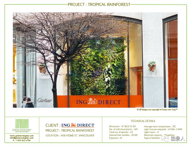 一说到垂直绿化，脑袋里就蹦出他，他，他（附失败案例经验总结）