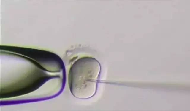 现实与科幻：“无现金日”把我们引向何方？