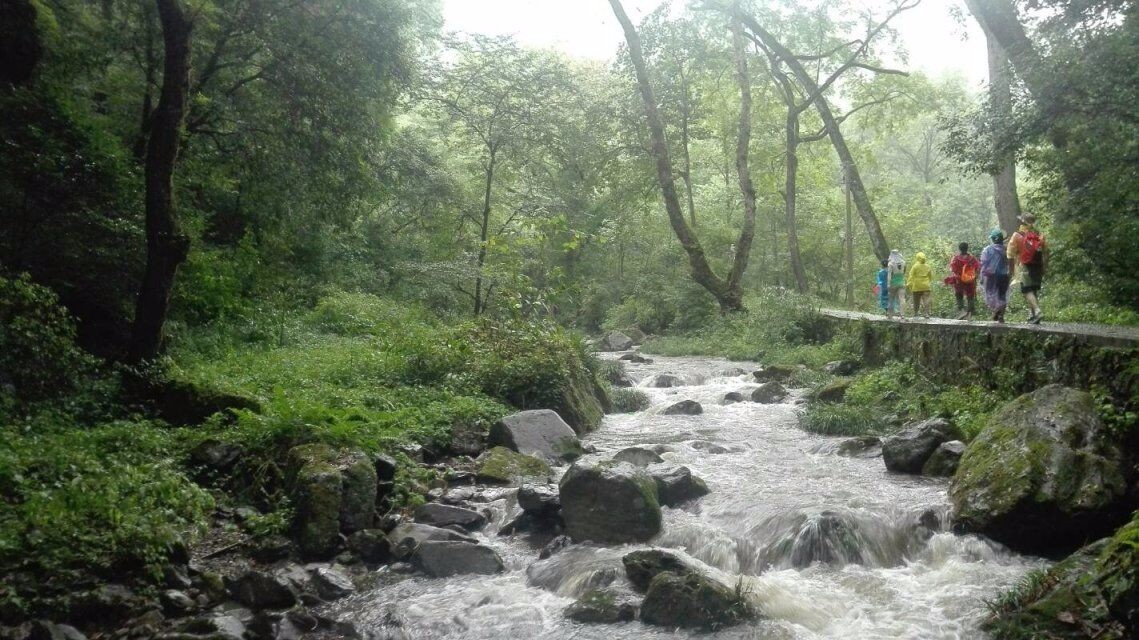 湖南小溪,湖南桂阳小溪