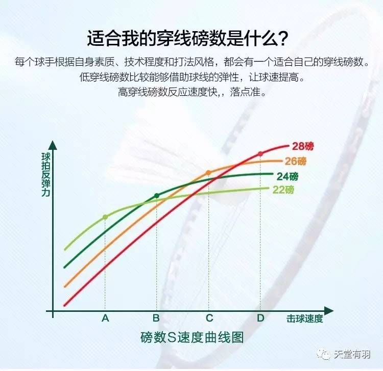 球拍磅数怎样选择,球拍磅数应该怎么选