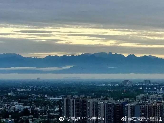 语闻丨8岁娃儿8个小时耍脱5万元……