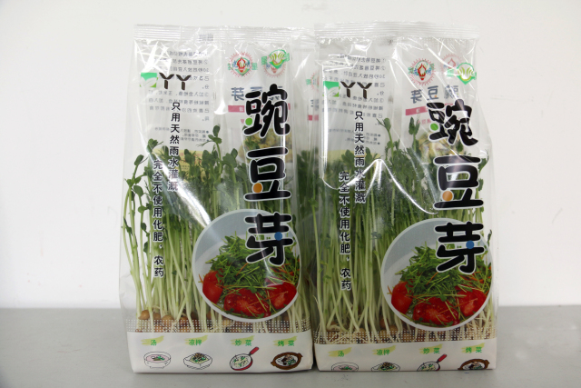 无土栽培蔬菜生产全过程,简易大棚种植无土栽培蔬菜技术