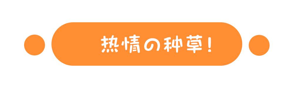 美瞳随便戴,美瞳别乱买不然真的会瞎