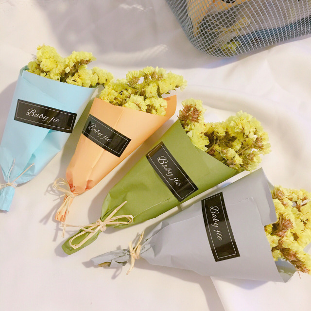 提升生活幸福感立竿见影的东西,1000块以内可以提升幸福感的东西