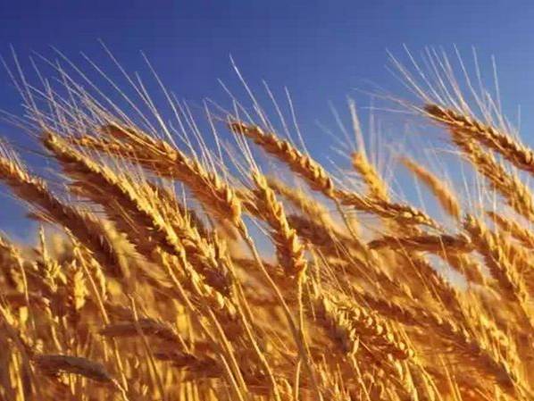 银行理财6%,银行5%以上的理财产品风险高吗