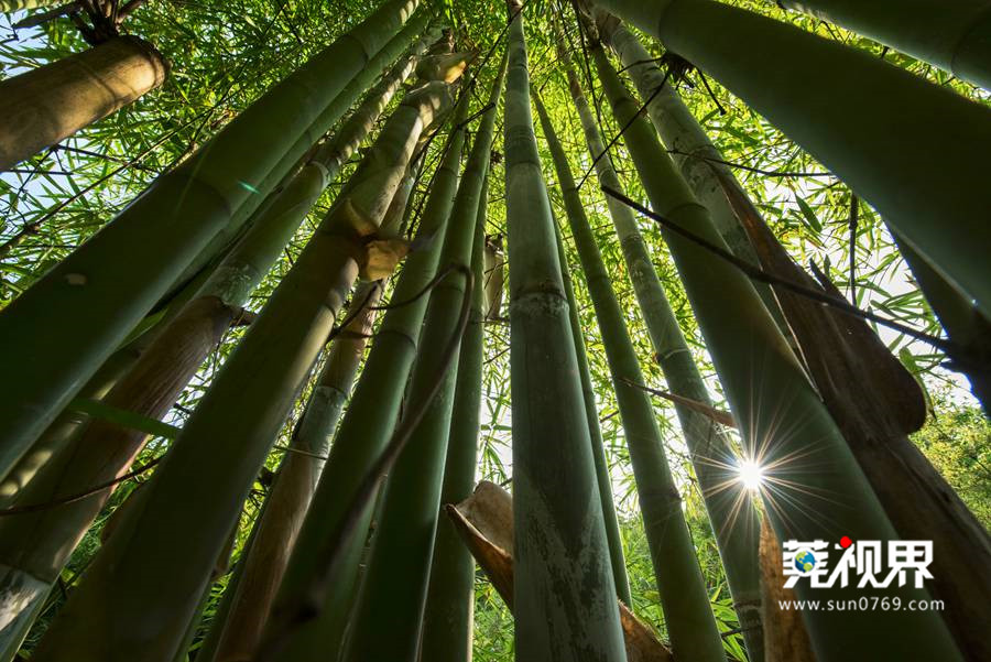 山水风景都很美,山水景色不输九寨沟