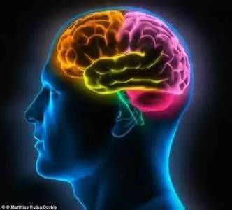 一日三餐午餐食谱,一日三餐之午餐