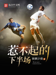 惹不起的下半场小说,惹不起的下半场