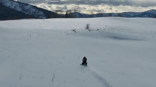 绯红女巫与鹰眼采访视频,鹰眼与绯红女巫