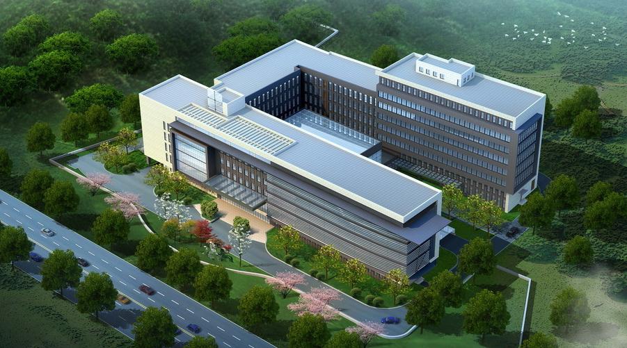 杭州迪文科技,杭州科技大事件