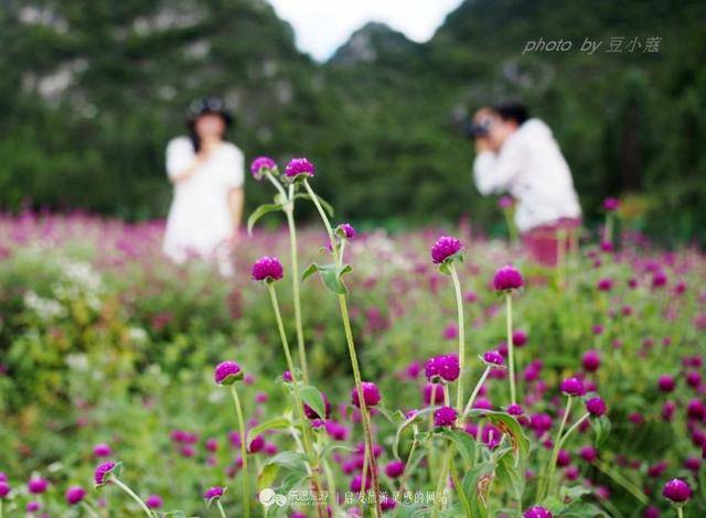 万峰林优美景色诗句,描写万峰林最美诗句