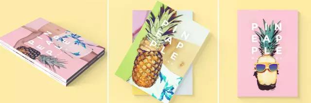 春风十里不如一颗菠萝