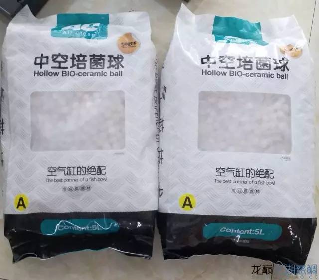 从零开始原生缸,从零开始造景缸