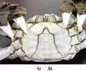 原创｜烟台一年最嗨的日子来了！即将开海，这些图却火了