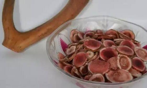 鲜鹿茸和干鹿茸功效有区别吗,鲜鹿茸怎么处理