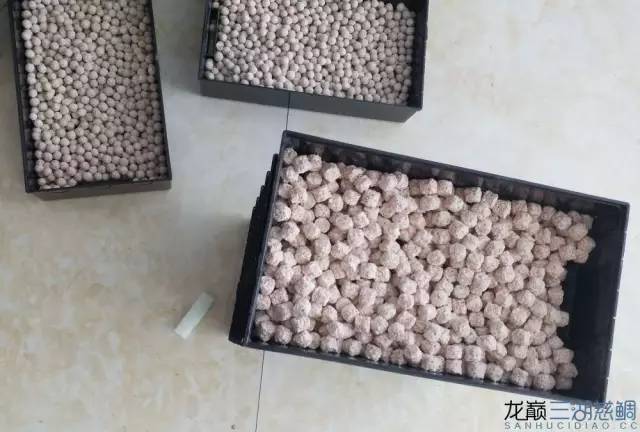 从零开始原生缸,从零开始造景缸