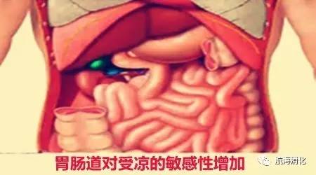 你的肠胃还好吗,你的肠胃有多强大