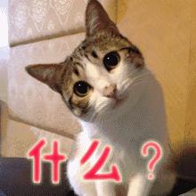 衡阳绿化公园,衡阳湿地公园规划图