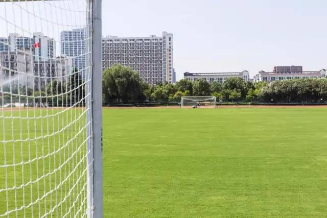 下沙中学第39届运动会,全国的学生运动会2021