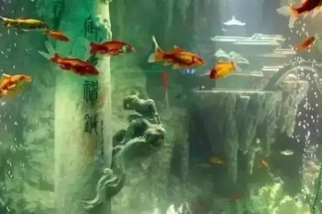 世界上最大的土豪鱼缸,寿山石东海龙宫鱼缸