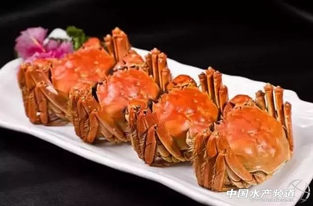 阳澄湖大闸蟹市场螃蟹价格,阳澄湖大闸蟹开捕时间2020价格