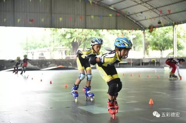 德宏成绩,德宏州体育成绩