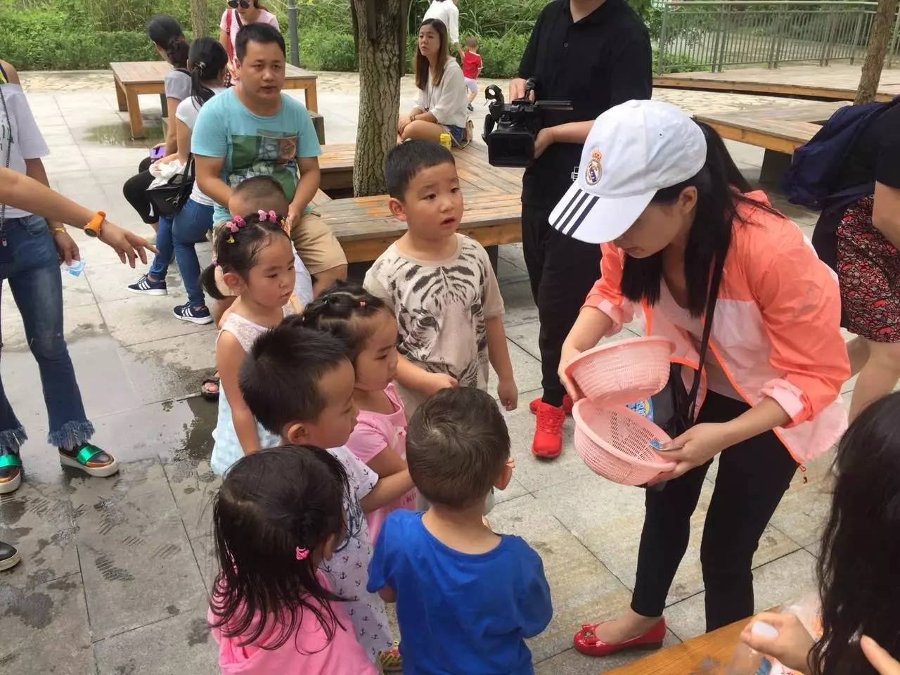 智慧与体力,脑力与体力的比拼